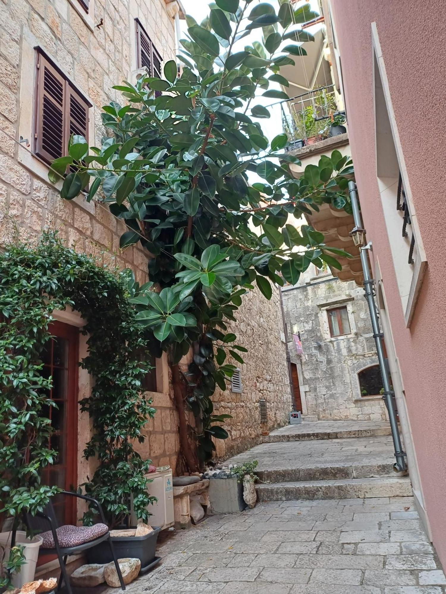 Guest House Jungher Korčula Exterior foto