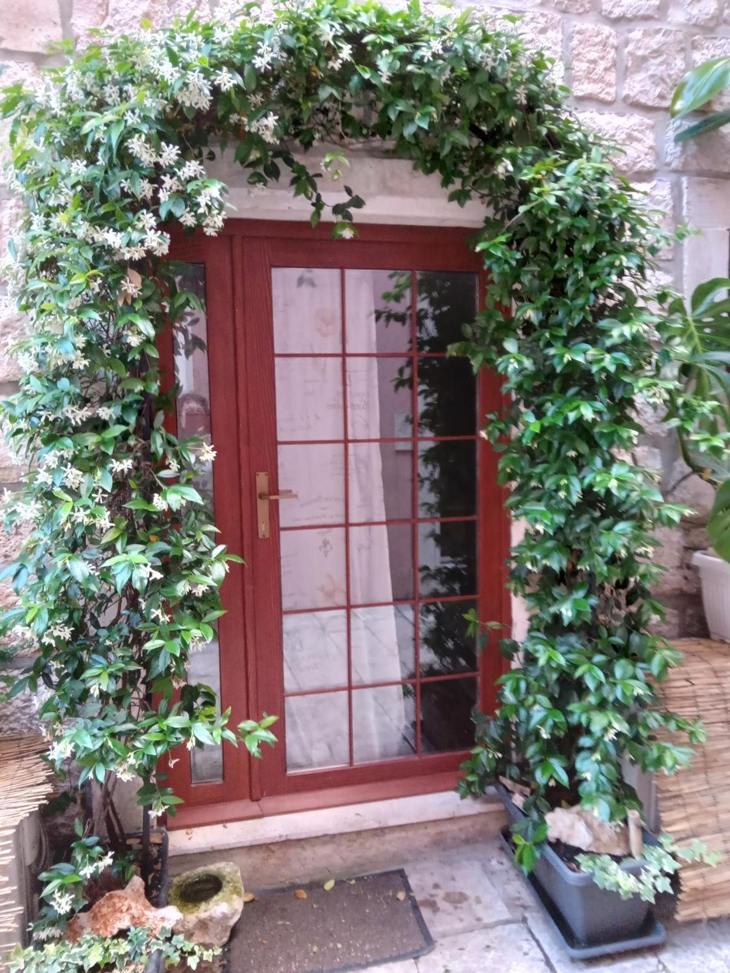 Guest House Jungher Korčula Exterior foto