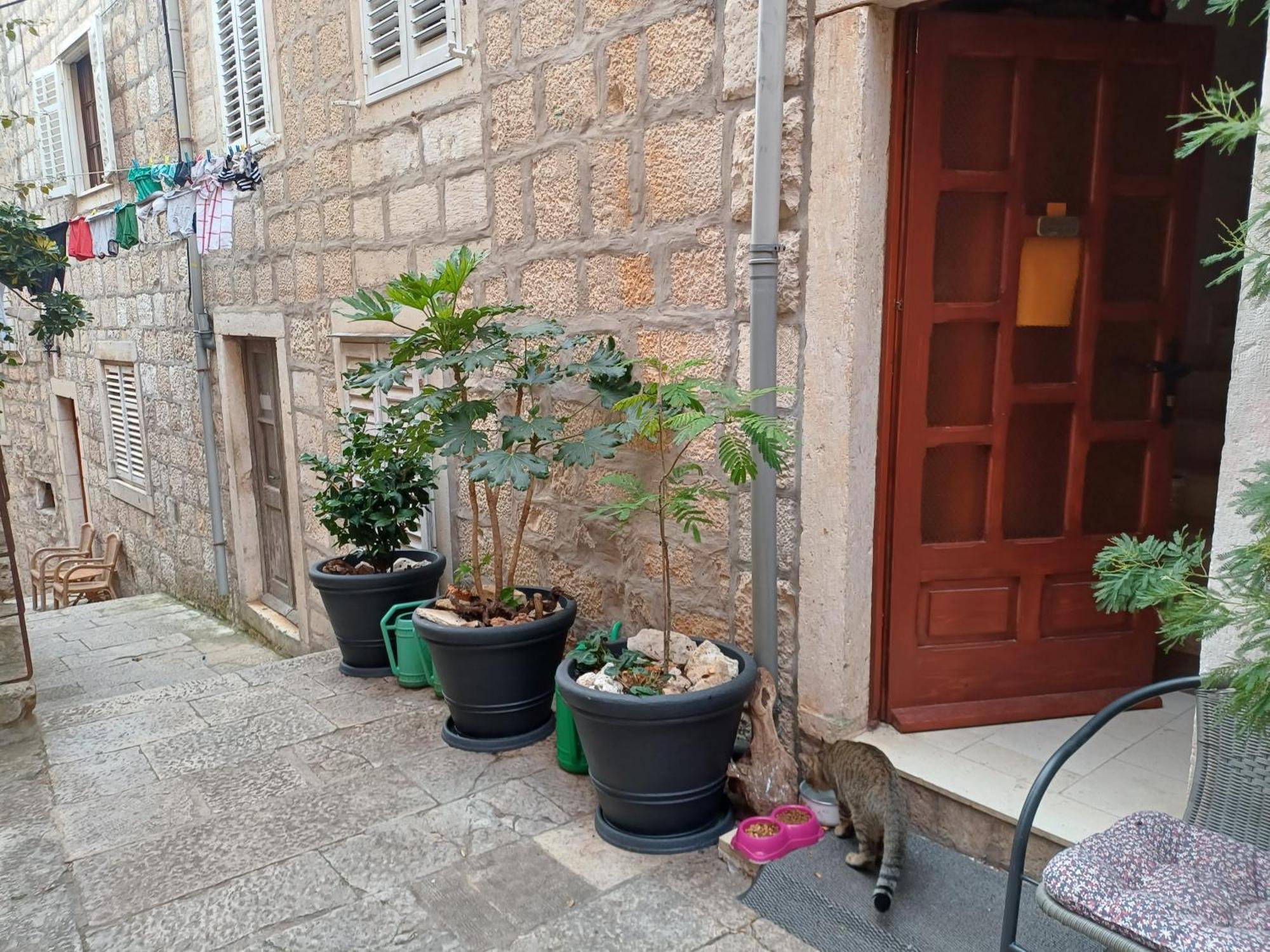 Guest House Jungher Korčula Exterior foto
