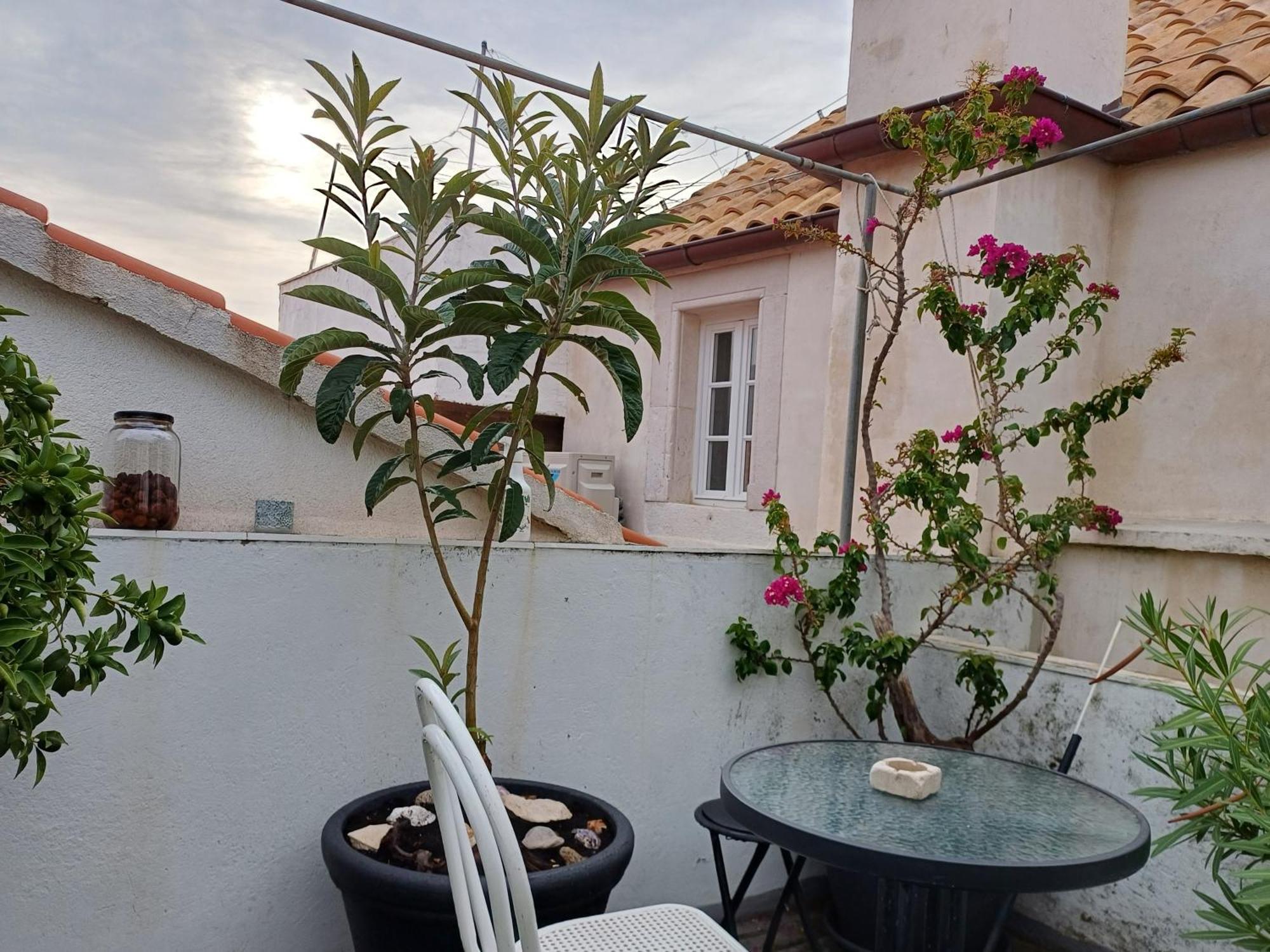 Guest House Jungher Korčula Exterior foto